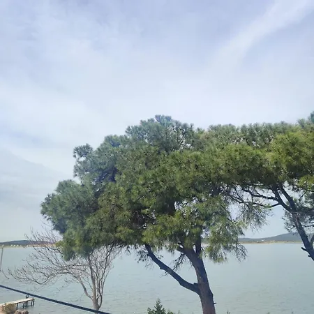 Mavi Cam Ayvalik Sefacamlik